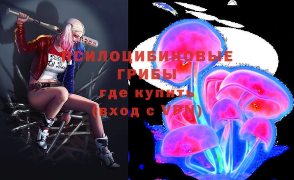 амф Абинск