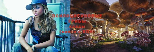 амф Абинск